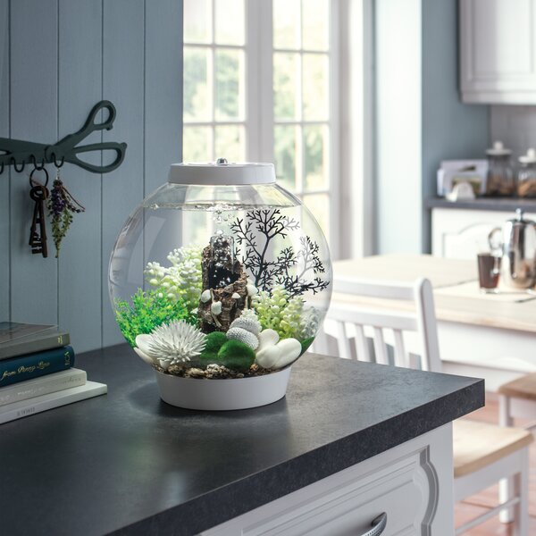 Biorb Round  Aquarium  Tank Reviews Wayfair